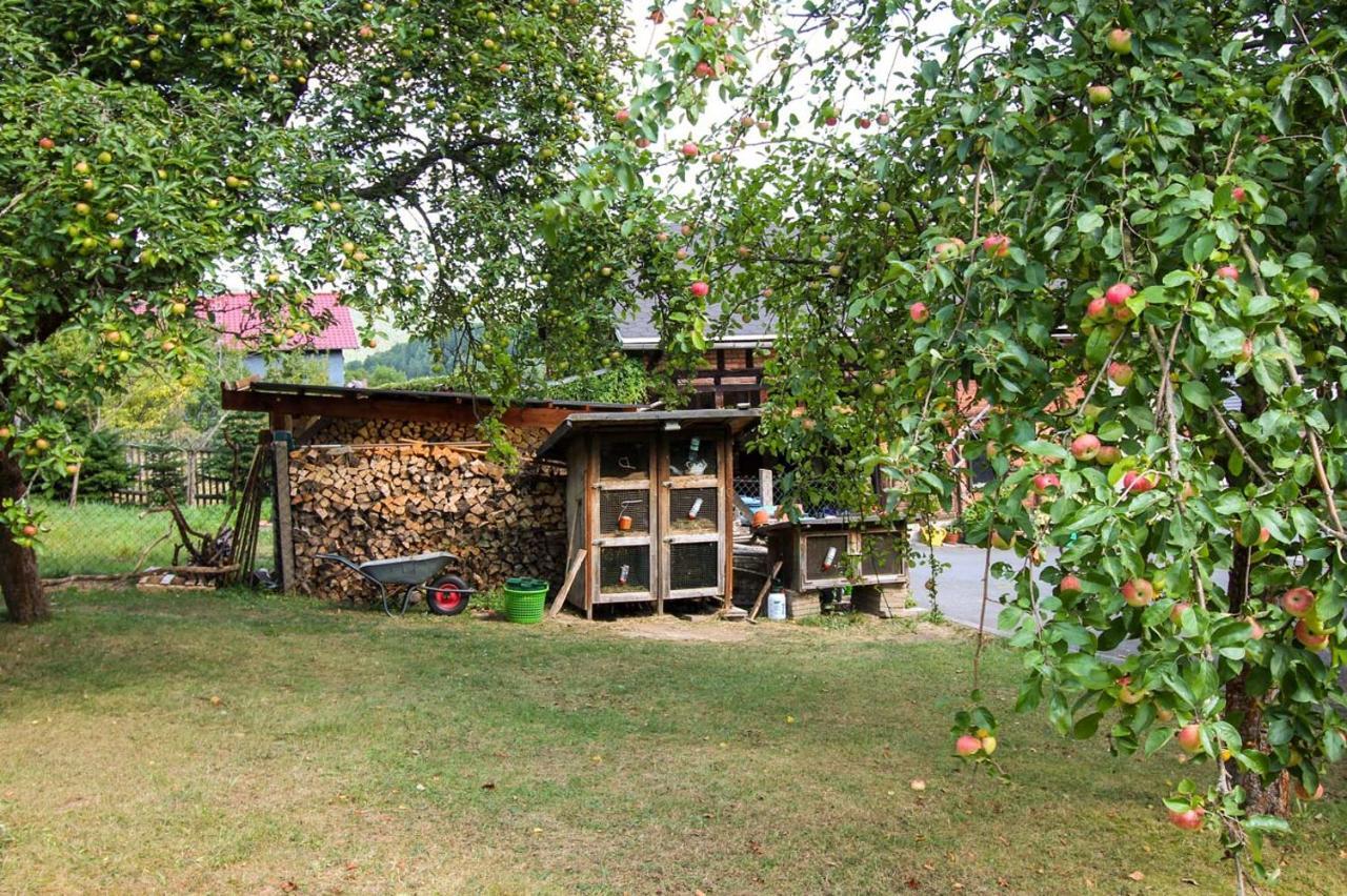 Haus Sonnenwalde - Familie Ruhe Hotel Rohrbach  Bagian luar foto
